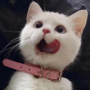 粉嫩AV一区二区三区四区在线不卡
