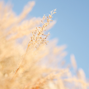 粉嫩AV一区二区三区四区在线不卡
